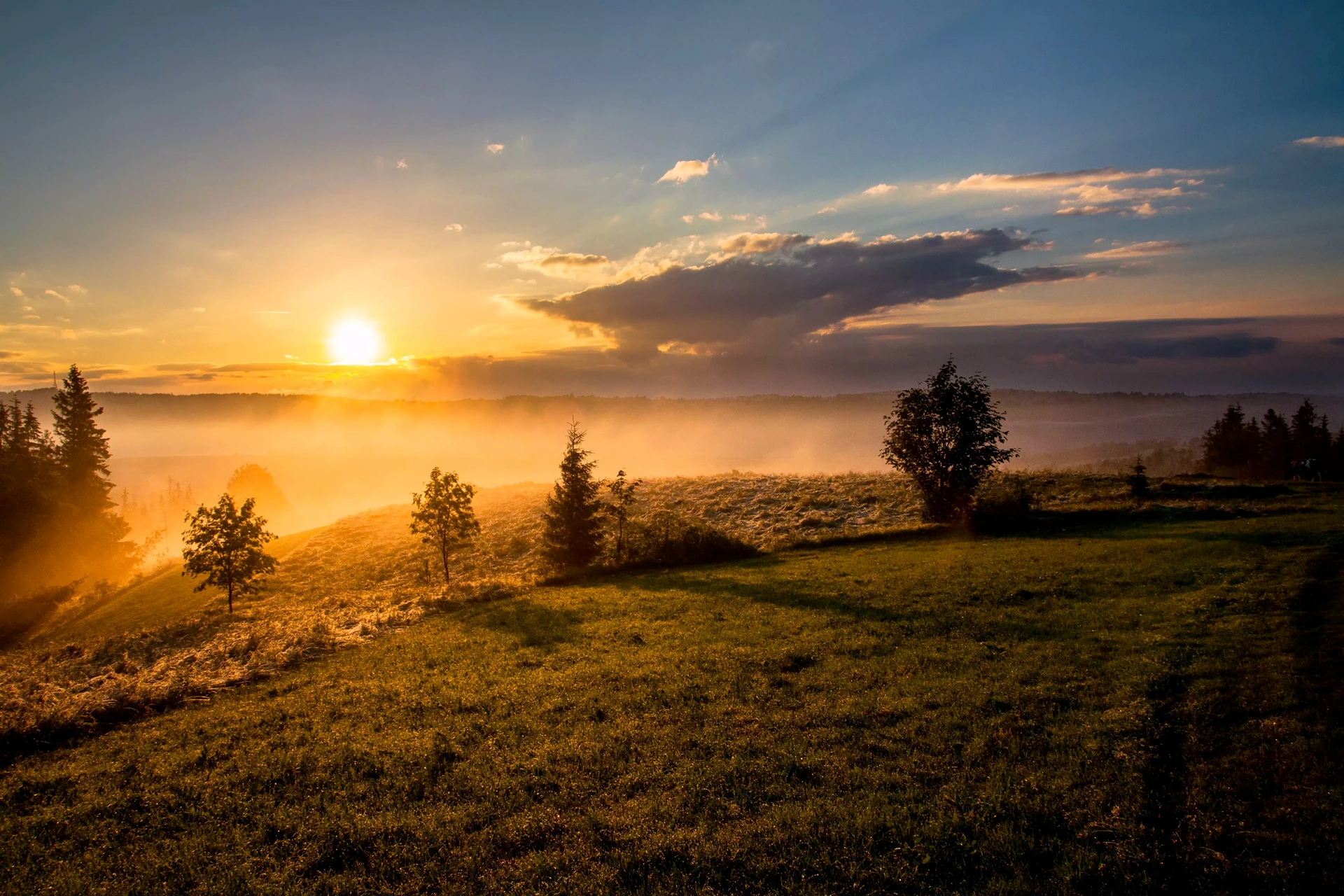 Un coucher de soleil à travers la brume